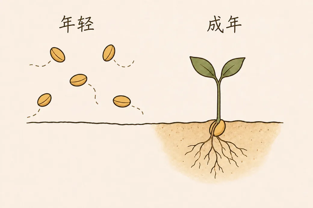 年轻：种子飘向不同方向；成年：一颗种子扎根发芽